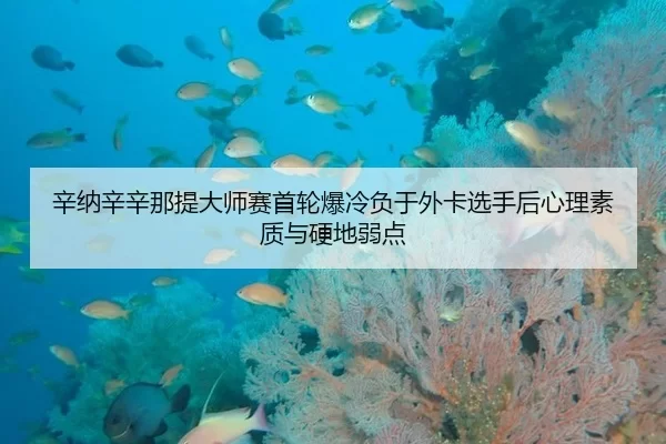 辛纳辛辛那提大师赛首轮爆冷负于外卡选手后心理素质与硬地弱点